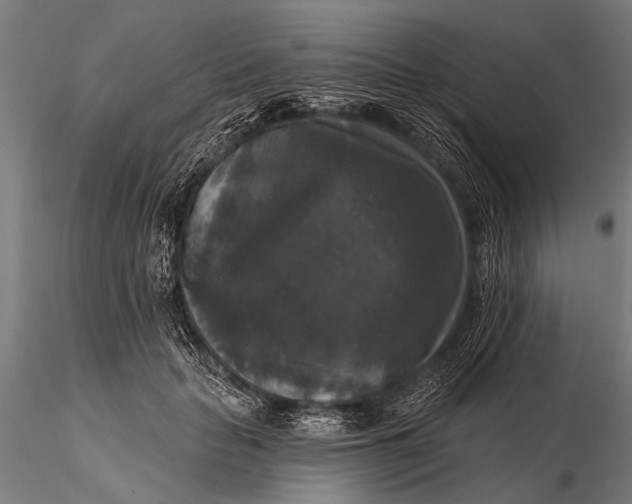 X0000115670653200912031357