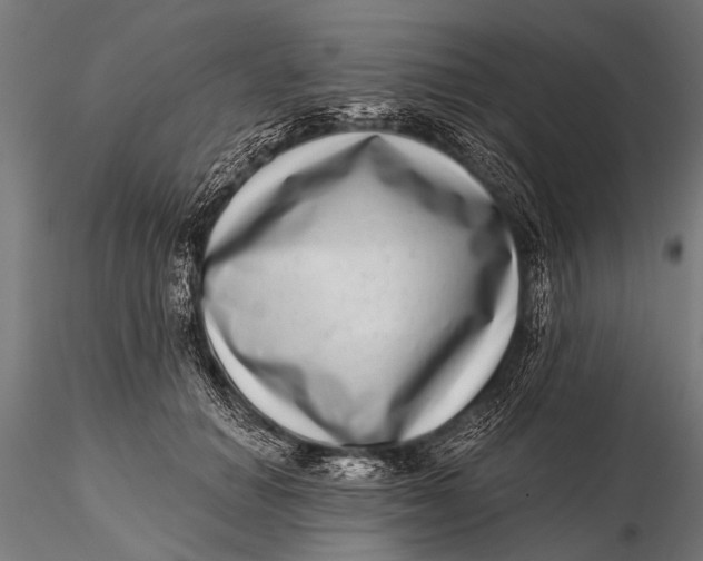 X0000115670654200912031357