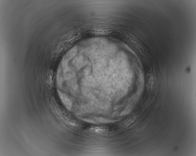 X0000115670655200912031357