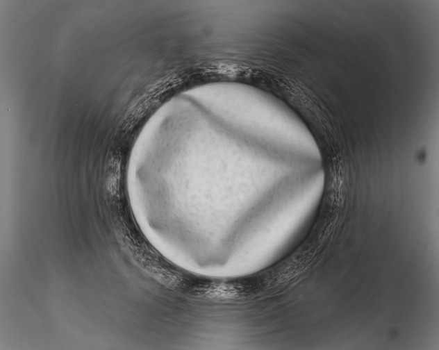 X0000115670656200912031357