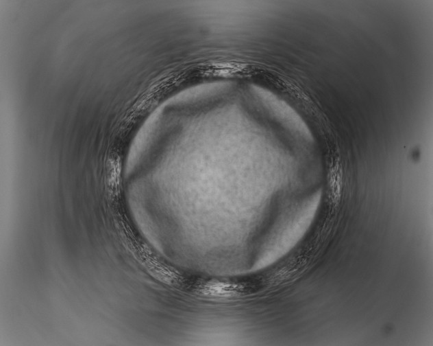 X0000115670657200912031357