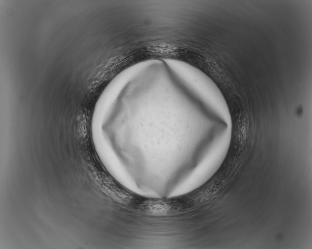 X0000115670658200912031357