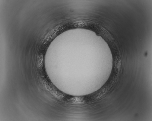 X0000115670660200912031357