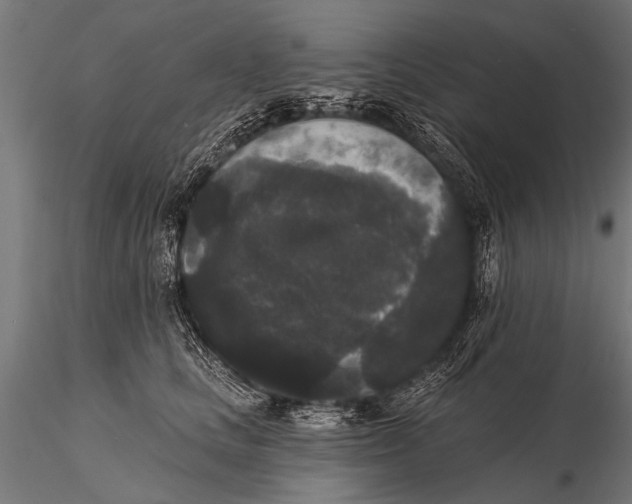 X0000115670661200912031357