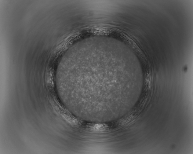 X0000115670663200912031357