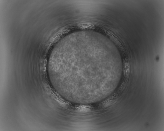 X0000115670664200912031357