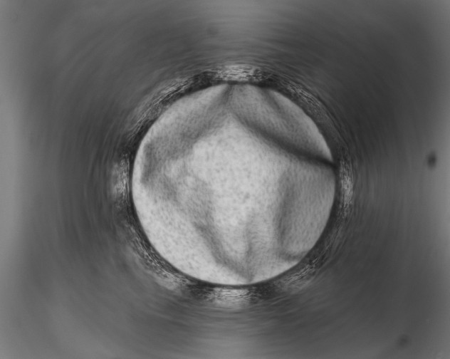 X0000115670665200912031357