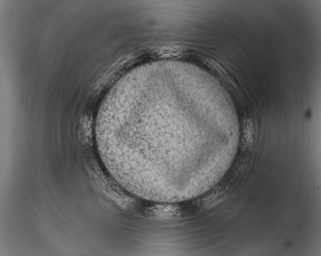 X0000115670667200912031357