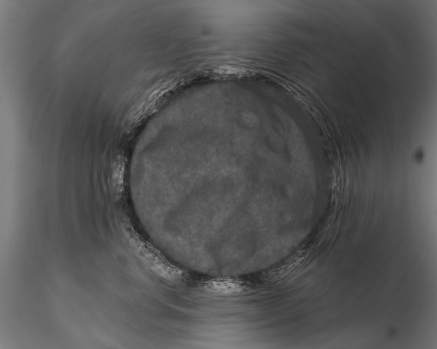 X0000115670668200912031357