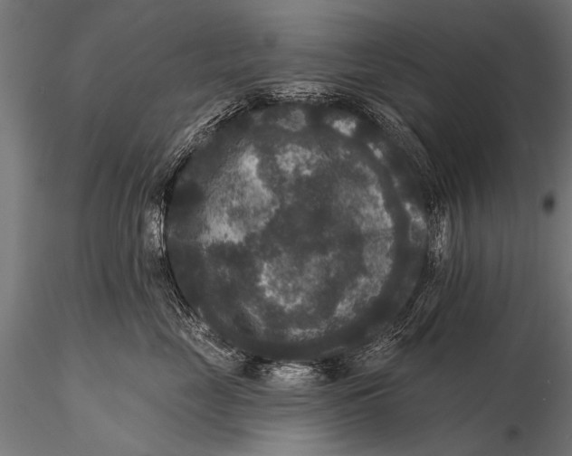 X0000115670669200912031357