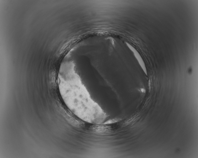 X0000115670670200912031357