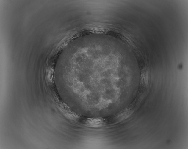 X0000115670671200912031357