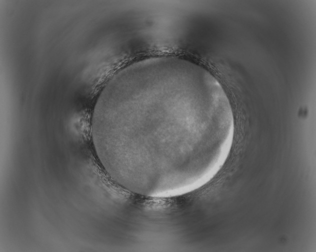 X0000115670672200912031357