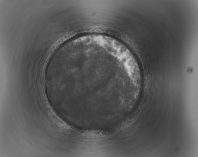 X0000115670673200912031357