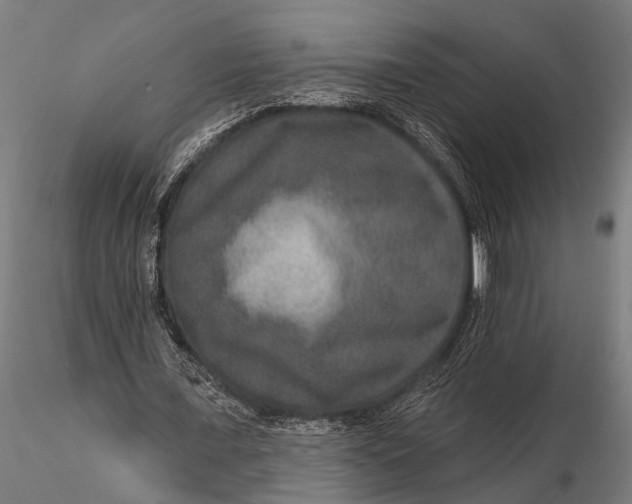 X0000115670675200912031357