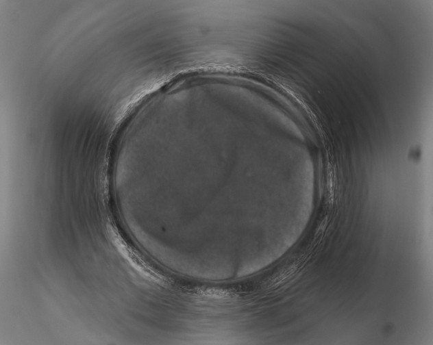 X0000115670677200912031357