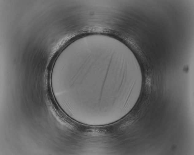 X0000115670678200912031357