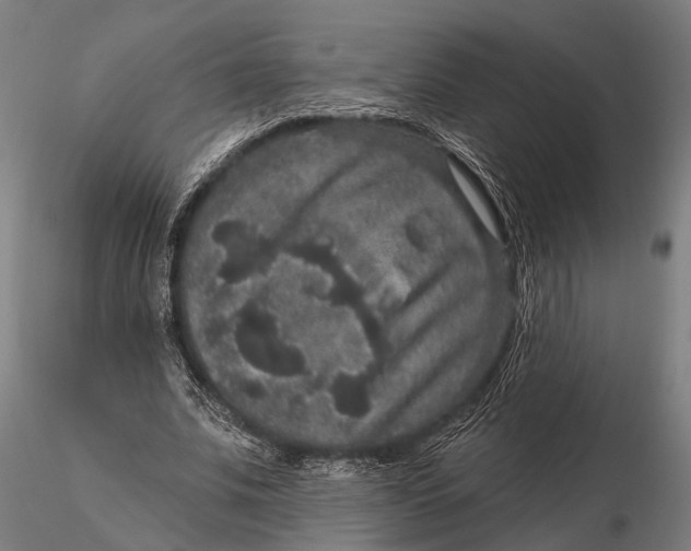 X0000115670679200912031357