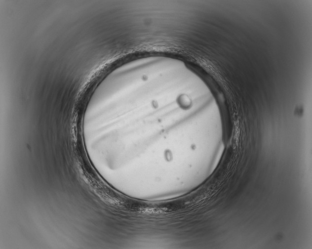 X0000115670680200912031356