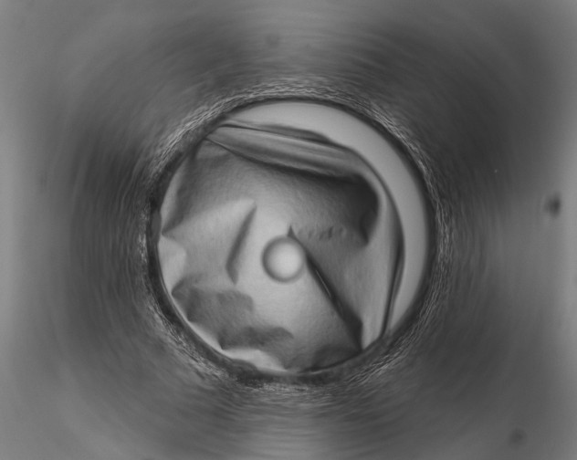 X0000115670681200912031356