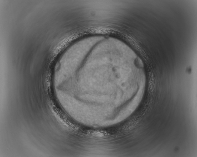 X0000115670683200912031356