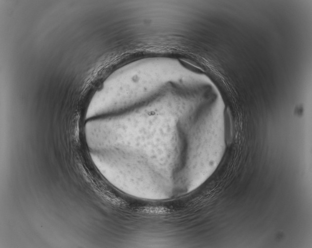 X0000115670685200912031356