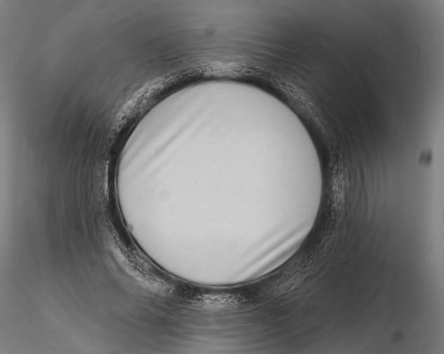 X0000115670686200912031356