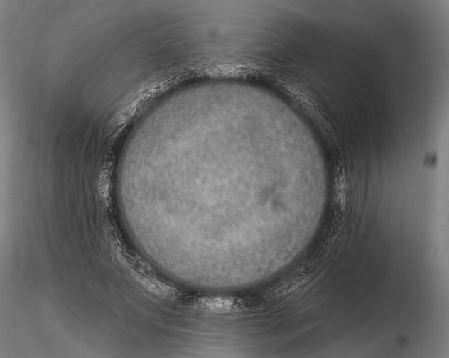 X0000115670687200912031356