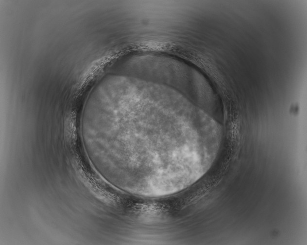 X0000115670688200912031356