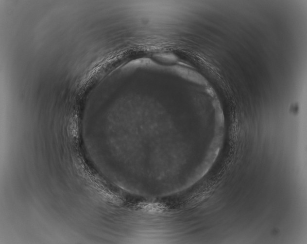 X0000115670689200912031356