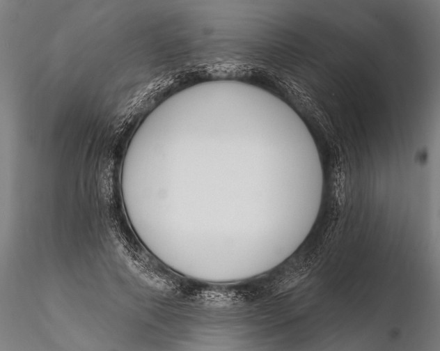 X0000115670690200912031356