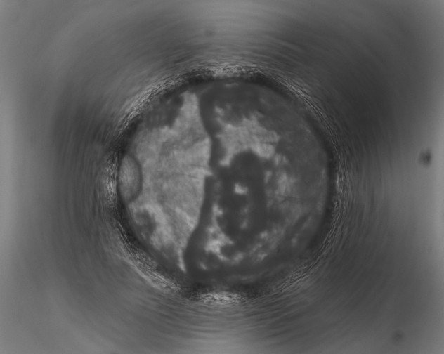 X0000115670691200912031356