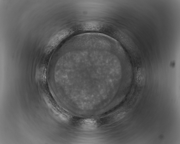 X0000115670692200912031356