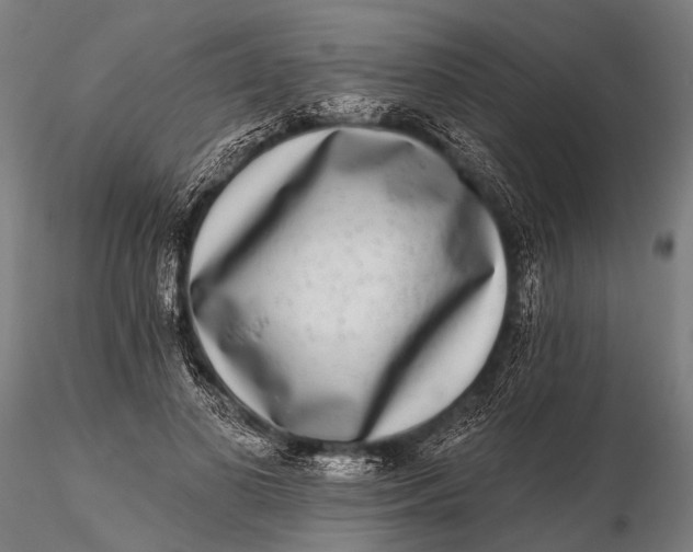 X0000115670693200912031356