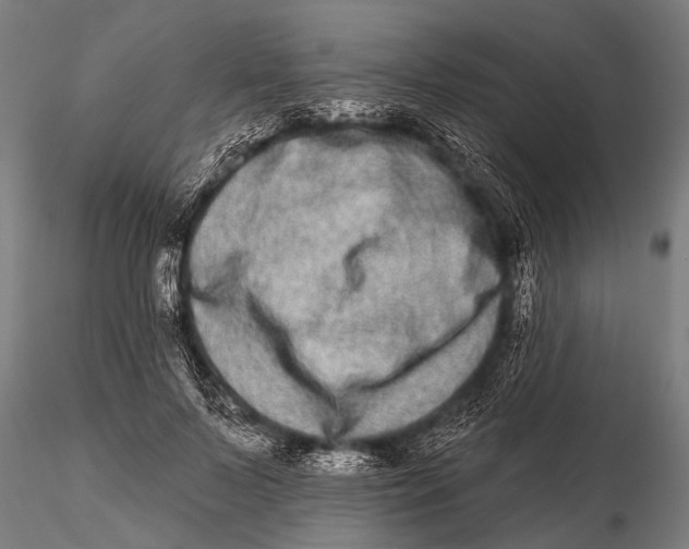 X0000115670695200912031356