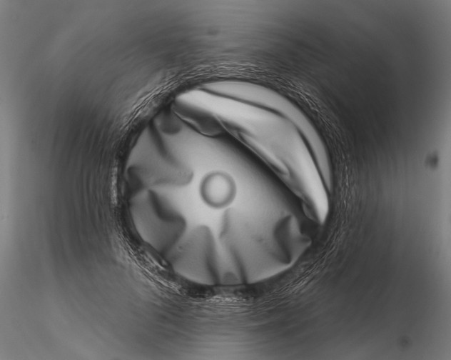 X0000115670696200912031356