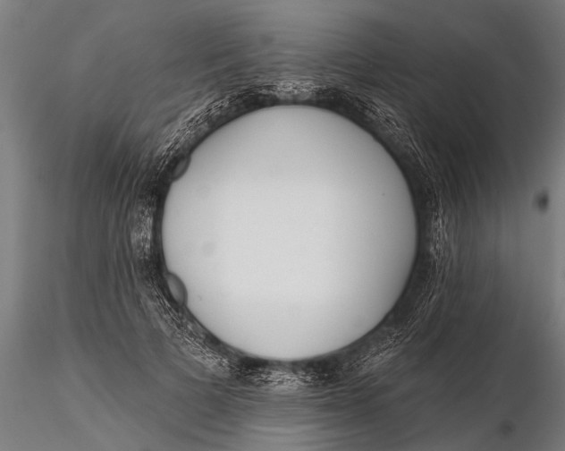 X0000115670697200912031356