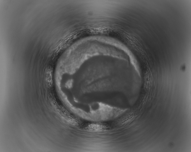 X0000115670699200912031356