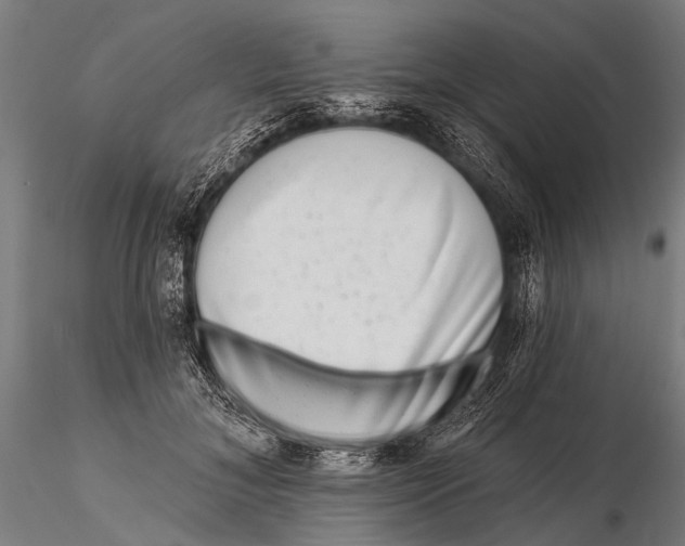 X0000115670700200912031356