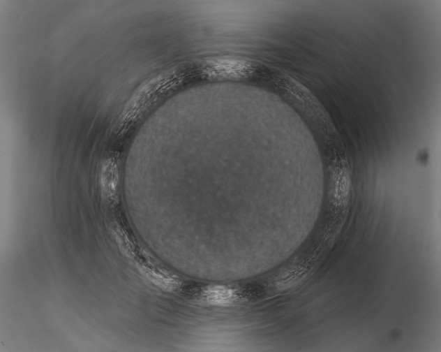 X0000115670701200912031356