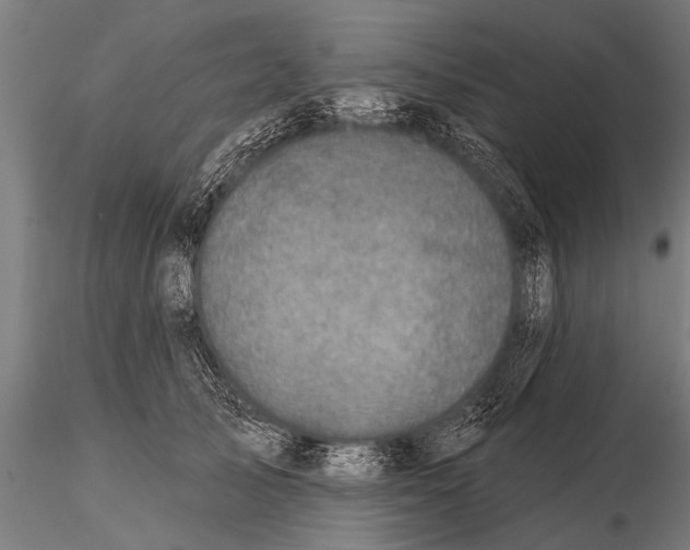 X0000115670705200912031356