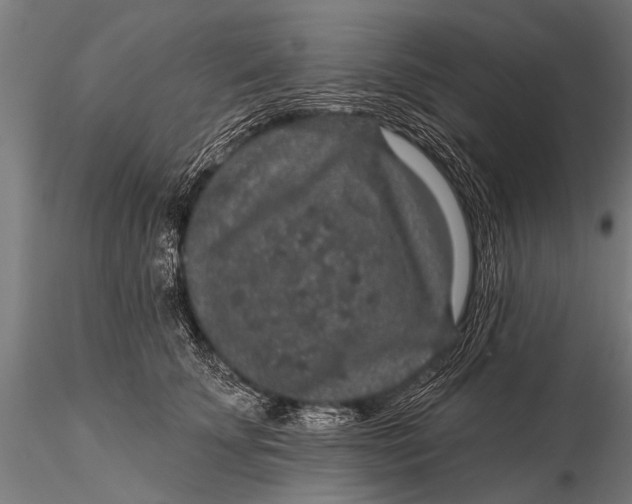 X0000115670707200912031356