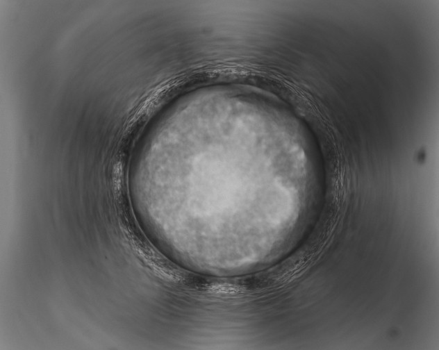 X0000115670708200912031356