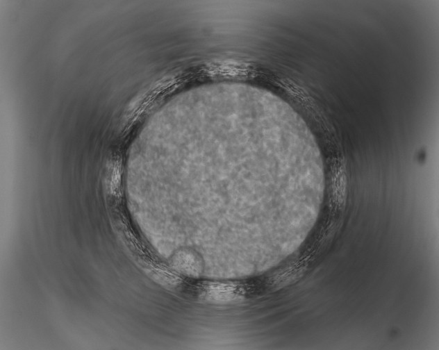 X0000115670709200912031356