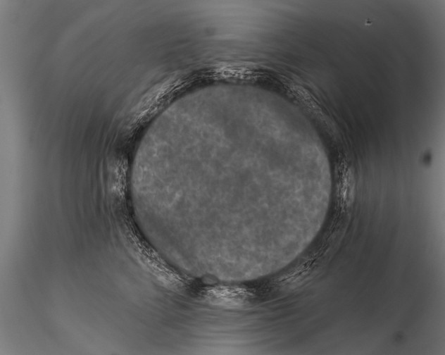 X0000115670712200912031356