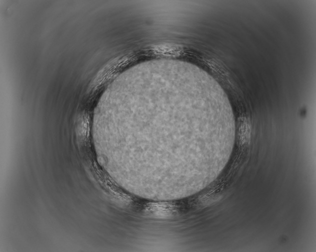 X0000115670713200912031356