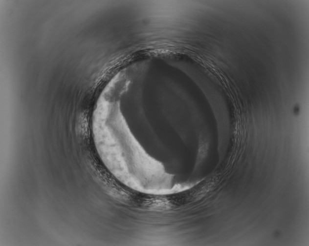 X0000115670715200912031356