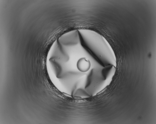 X0000115670716200912031356