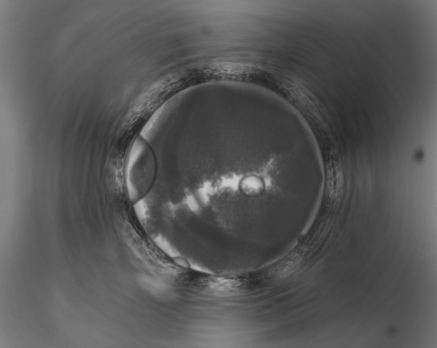 X0000115670718200912031356