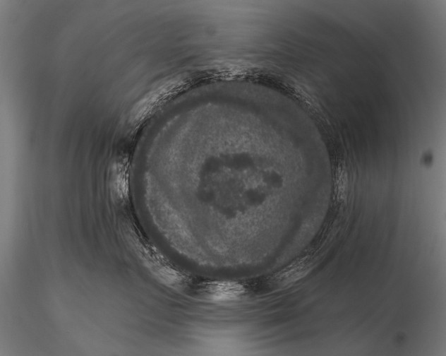 X0000115670719200912031356